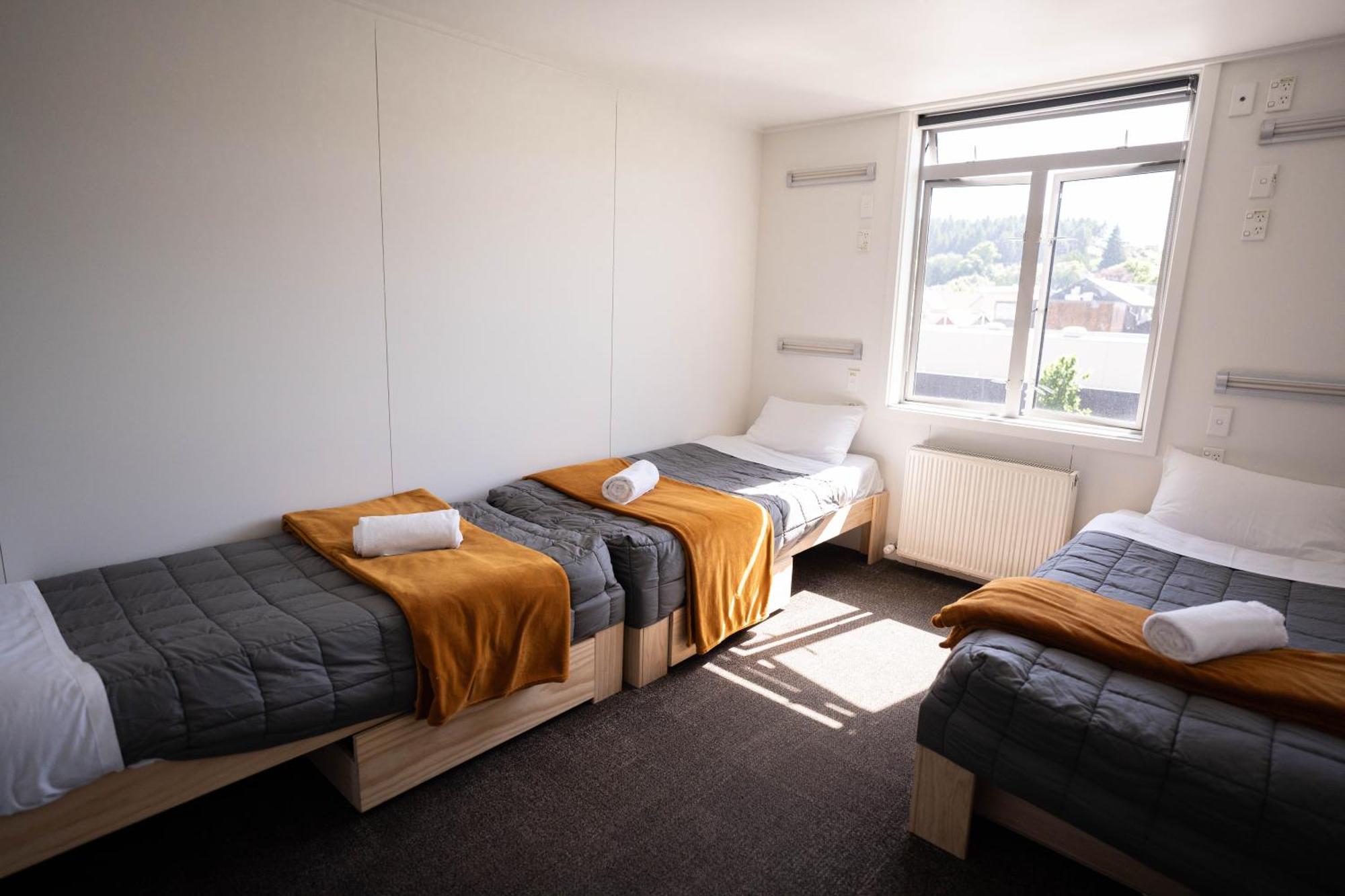 The Brownston Hostel 瓦纳卡 外观 照片